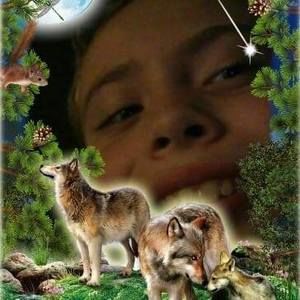 Meet your Posher, Timothy